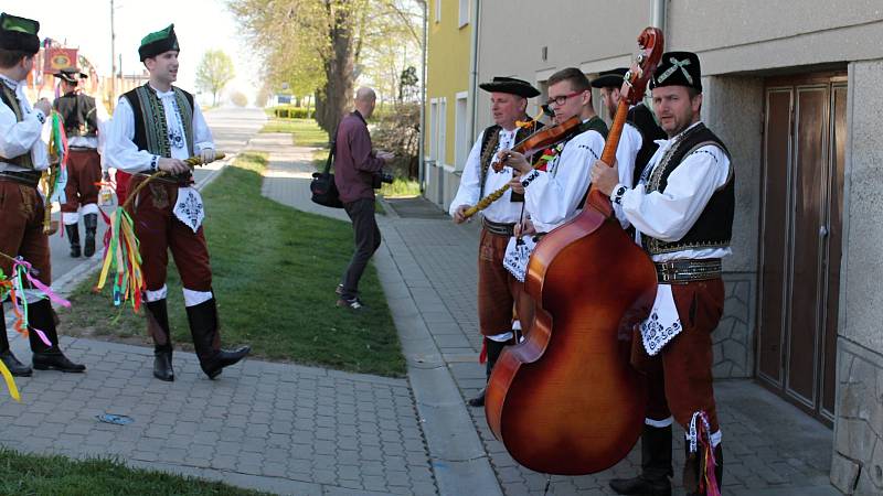 Krojovaný mrskut v Kralicích na Hané