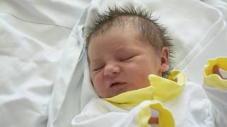 Nově narozená miminka na Prostějovsku - 37. týden roku 2020 - Prostějovský  deník