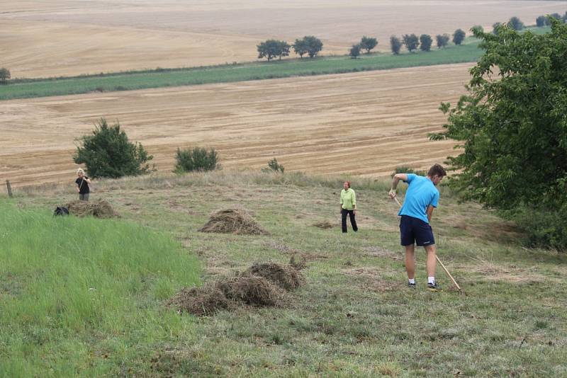 V sobotu 6. srpna se sešli milovníci přírody na lokalitě Za hrnčířkou u Ohrozimi, aby tady pomáhali s posečenou trávou.