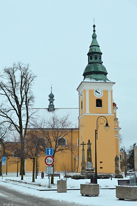 Kvetoucí stromy v Němčicích nad Hanou - 5. ledna 2019