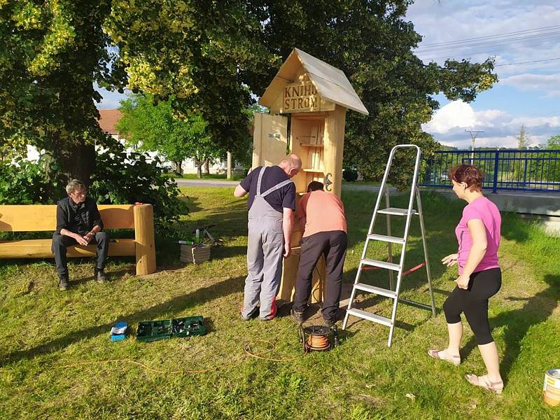 Výroba, instalace a užívání knihostromu ve Ptení