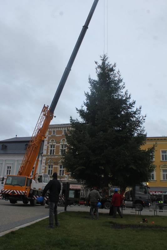 Vánoční smrk z Vrahovic už je na náměstí T. G. Masaryka. A čeká na ozdoby.