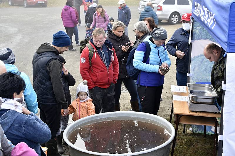 Výlov Podhradského rybníka v Plumlově, 28.10. 2021