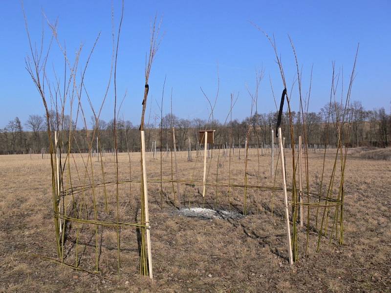 Stavby z vrbiček ve Víceměřicích - teepee