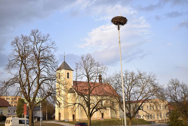 Čáp přiletěl do Bohuslavic ve čtvrtek 25. března 2021.