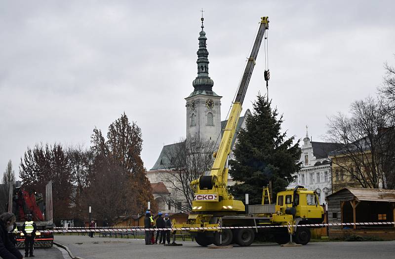 Instalace vánočního stromu na prostějovské náměstí T. G. Masaryka, pondělí 22.11. 2021