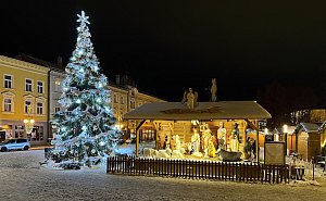 Anketa, hlasujte pro nejkrásnější Vánoční strom 2023. Foto: Lukáš Andrýsek, se svolením