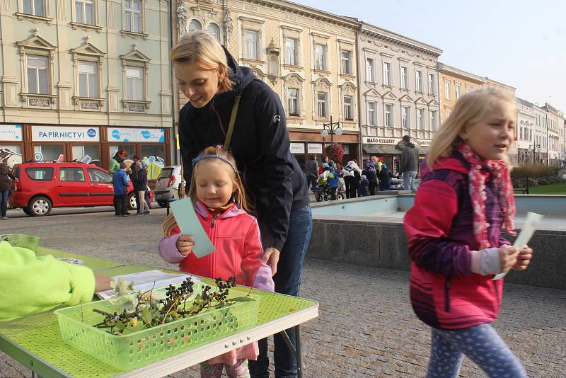 Ekocentrum Iris uspořádalo tradiční Den stromů. Zájem o něj byl velký.