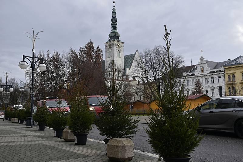 Tradice děti baví. Prostějovské náměstí T. G. Masaryka lemují desítky malých vánočních smrčků. 22.11. 2022