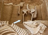 V bývalé cihelně v Držovicích našli archeologové ojedinělý bojovnický pohřeb lukostřelce