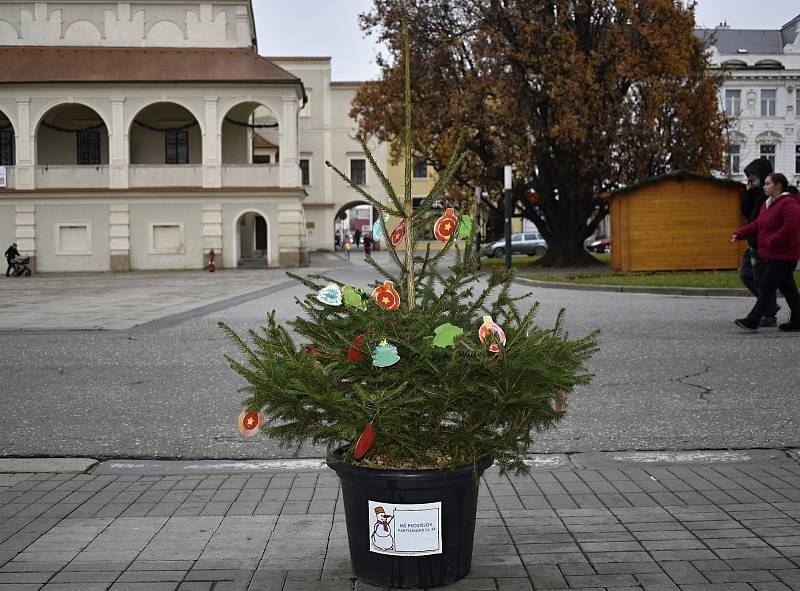 Centrální prostějovské náměstí se halí do vánočního hávu. Ozdobený už je vánoční strom a desítky malých smrčků. 26.11. 2020