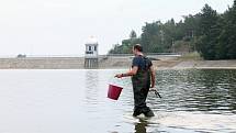 Hygienici měřili kvalitu vodu na plumlovské přehradě v pondělí 29.7. 2019