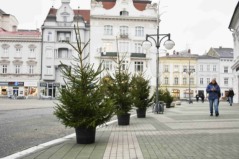 Zdobení vánočního stromu a malých vánočních stromků v Prostějově - 27. listopadu 2019