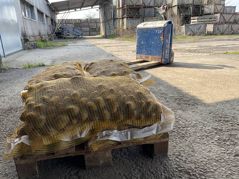 Zemědělské družstvo Vrbátky, farma Dubany, brambory na prodej za 10 Kč/1kg, 21. dubna 2021