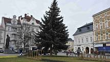 Z prostějovského hlavního náměstí zmizela vánoční dominanta, strom Horáček