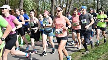 Na tři stovky běžců se zúčastnily 10. ročníku Velikonočního půlmaratonu v Prostějově. 7.4. 2024
