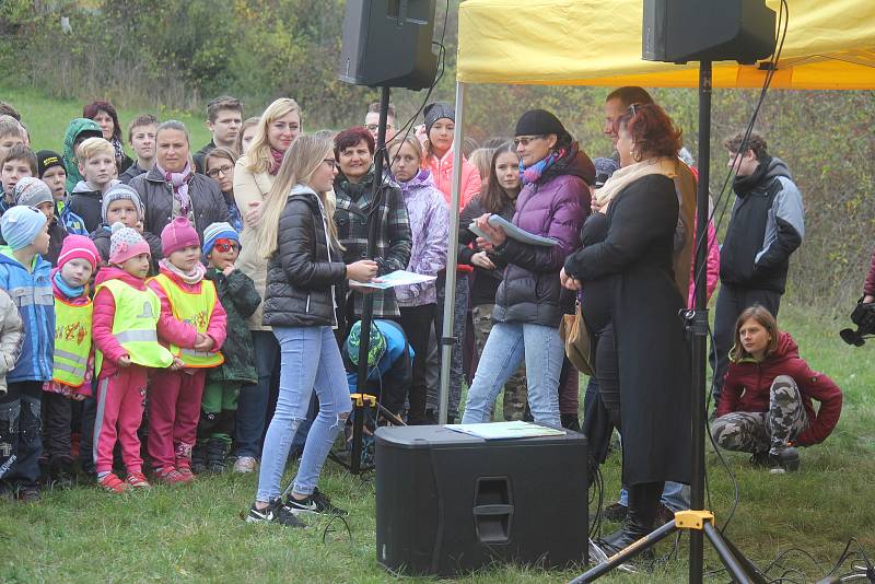 Alej malého Noe vznikla na staré cestě k přehradě v Plumlově