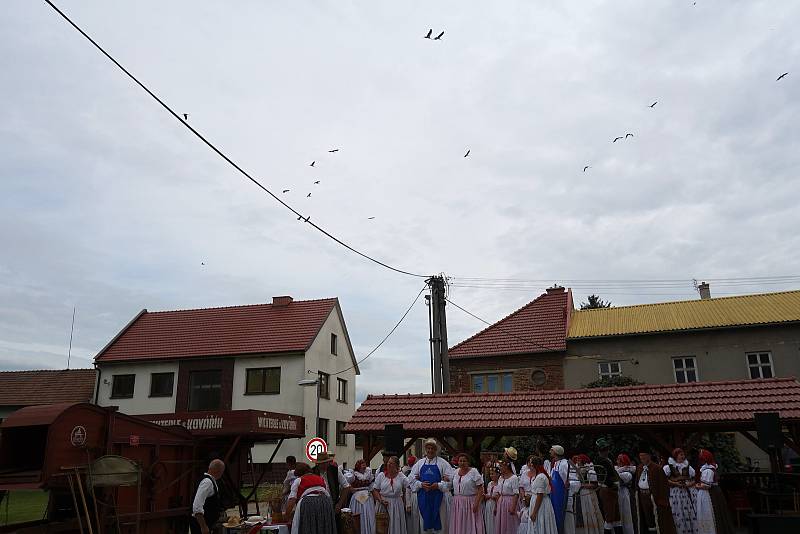 Sobotní dožatá v Pivíně pod taktovkou divadelního souboru Větřák. 17.8. 2019