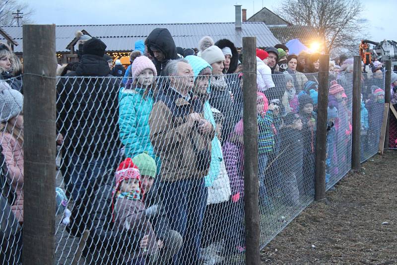 Živý betlém na Zlaté farmě s prohlídkami hospodářství i řemeslníky.