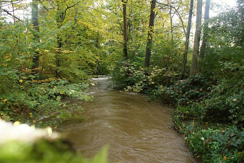 Rozvodněná řeka Hloučela v Hamrech na Prostějovsku na druhém povodňovém stupni - 15. 10. 2020 ráno