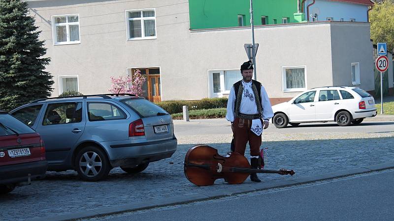 Krojovaný mrskut v Kralicích na Hané