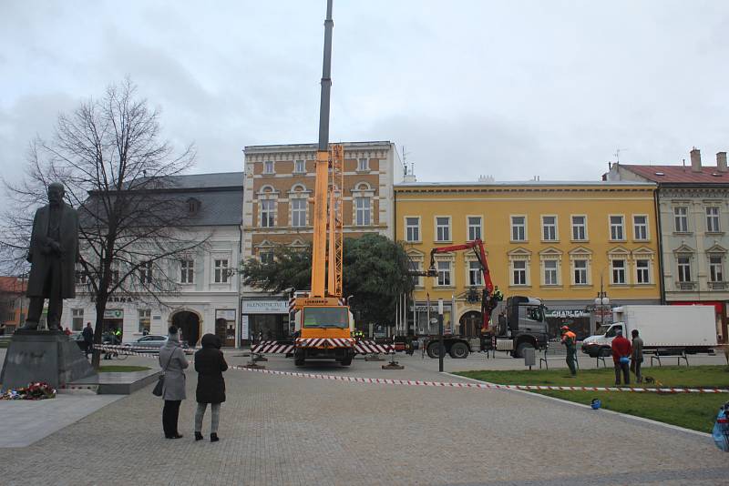 Vánoční smrk z Vrahovic už je na náměstí T. G. Masaryka. A čeká na ozdoby.