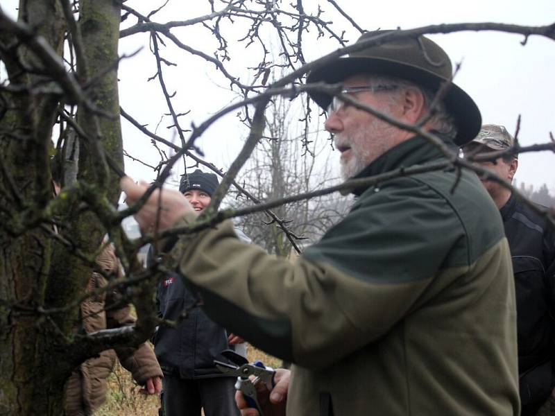 Praktický nácvik ořezávání ovocných stromů v Dubanech