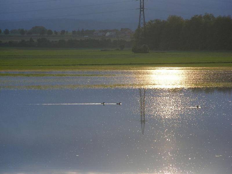 Mořice a jejich okolí, středa 2.6.2010