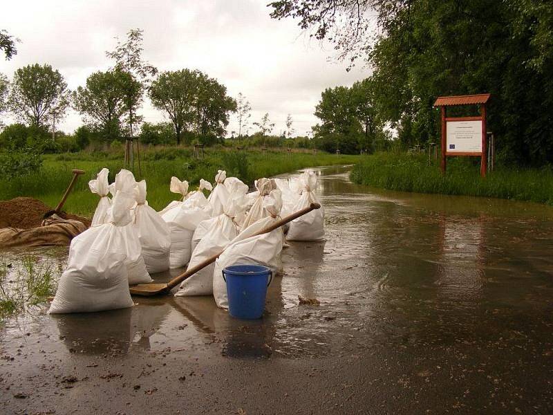 Mořice a jejich okolí, středa 2.6.2010