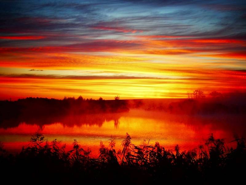 Podzimní říjnové svítání a mlha na Čelčickém rybníku.