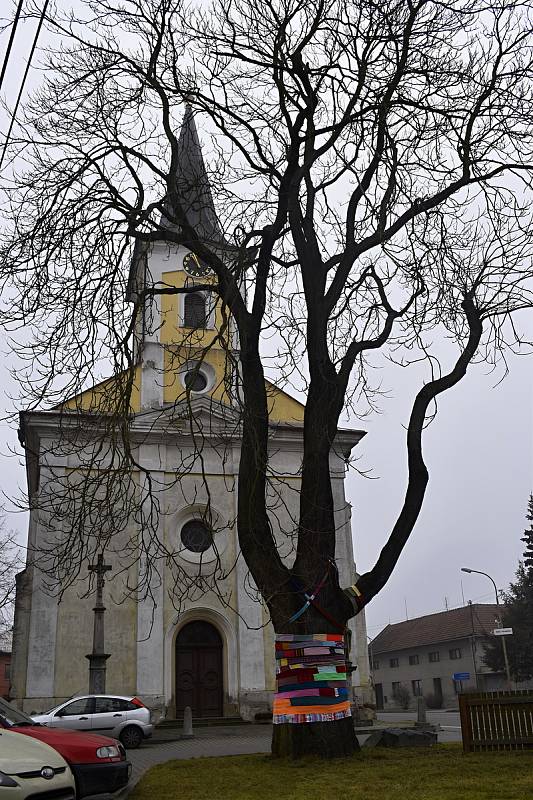 Občané Vrchoslavic si zpestřili smutný koronavirový stav a upletli svému jasanu téměř padesátimetrovou šálu.