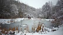 Zima na Prostějovsku, prosinec 2021.