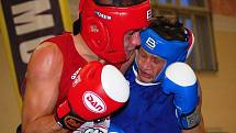 Prostějovští boxeři (v modrém)