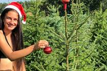 Žaneta Svobodová nabízí v parném létě vánoční stromky.