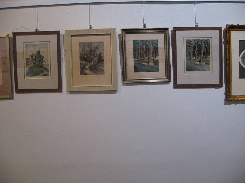 Výstava Obrázky Karla Tomana.