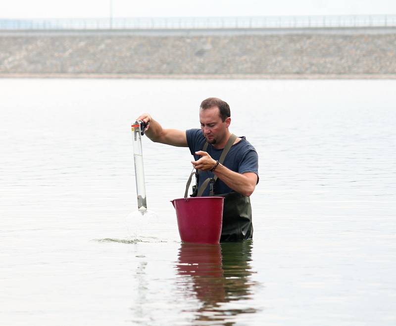 Hygienici měřili kvalitu vodu na plumlovské přehradě v pondělí 29.7. 2019