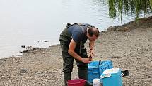 Hygienici měřili kvalitu vodu na plumlovské přehradě v pondělí 29.7. 2019