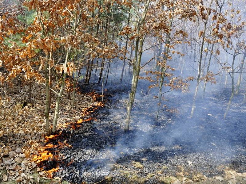 Požár lesa v Kobylničkách