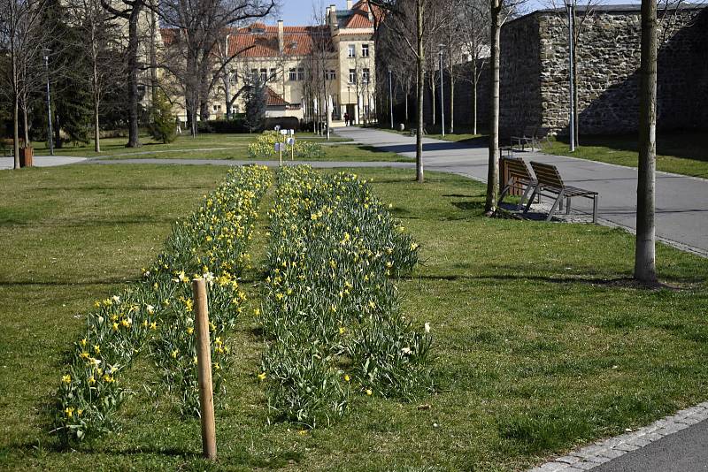 Nouzový stav a zákaz vycházení vylidnily centrum Prostějova. 27.3. 2020