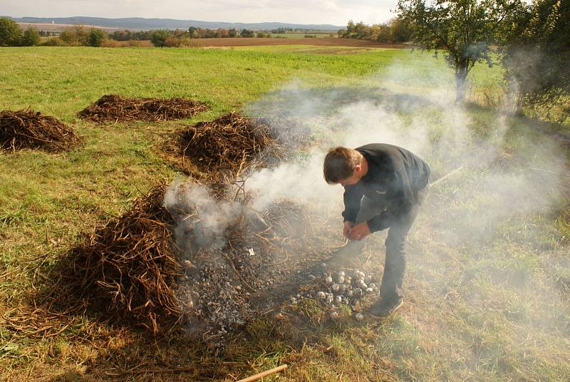 Drakiáda a Bramboriáda v Holubicích 2019