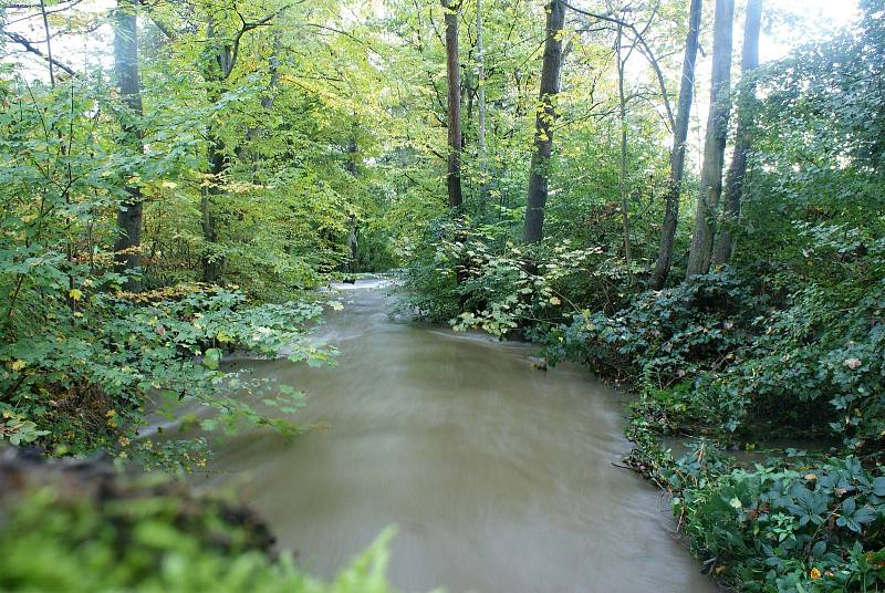 Rozvodněná řeka Hloučela v Hamrech na Prostějovsku na druhém povodňovém stupni - 15. 10. 2020 ráno