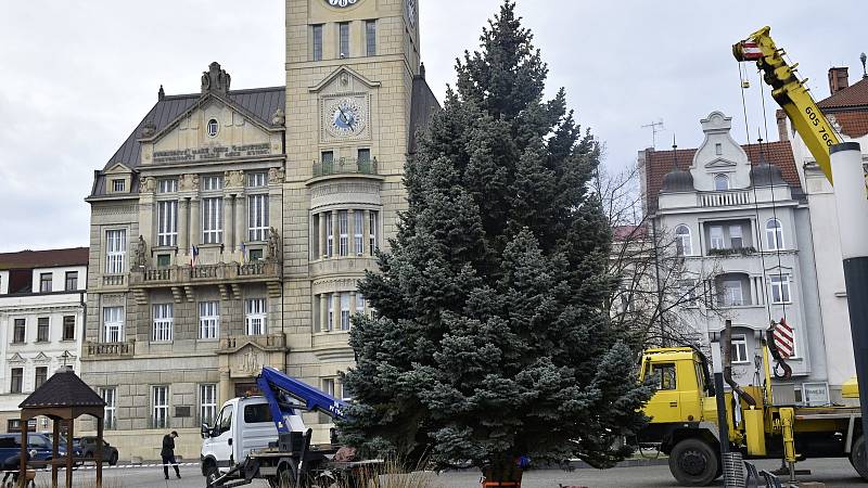 Vánoční strom dorazil na prostějovské náměstí T. G. Masaryka, 21. listopadu 2022