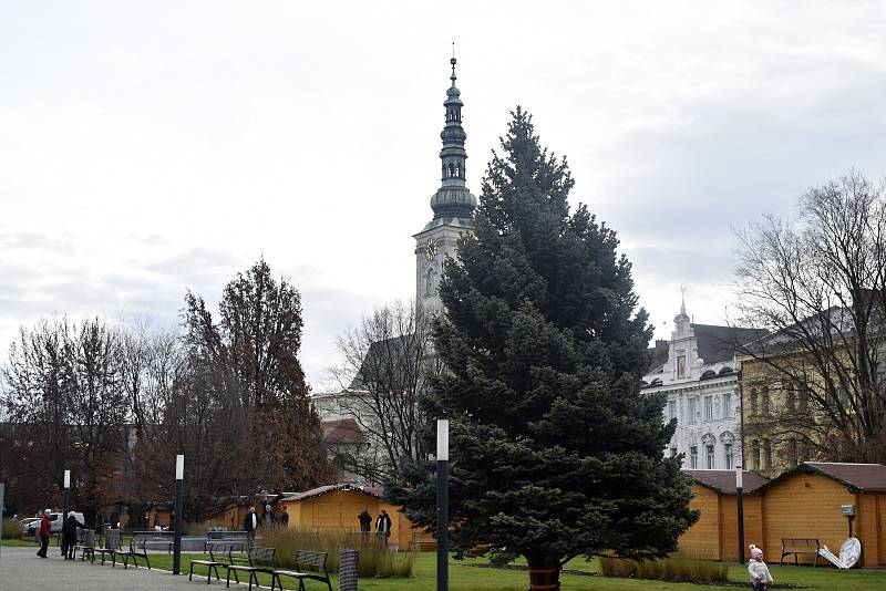 Vánoční strom dorazil před prostějovskou radnici, 21.11. 2022