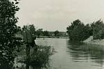 V roce 1914 povolila městská rada na návrh Rudolfa Wolfa (1874-1940), profesora místní reálky,  zkušební osázení břehů říčky Hloučely.