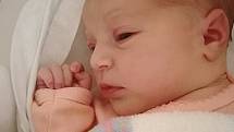 Amálie Hrubá, Přerov, narozena 19. října 2020 v Přerově, míra 51 cm, váha 3300 g