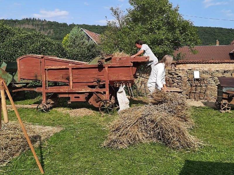 Žně na Hané - Složénsky dožinke, srpen 2021.