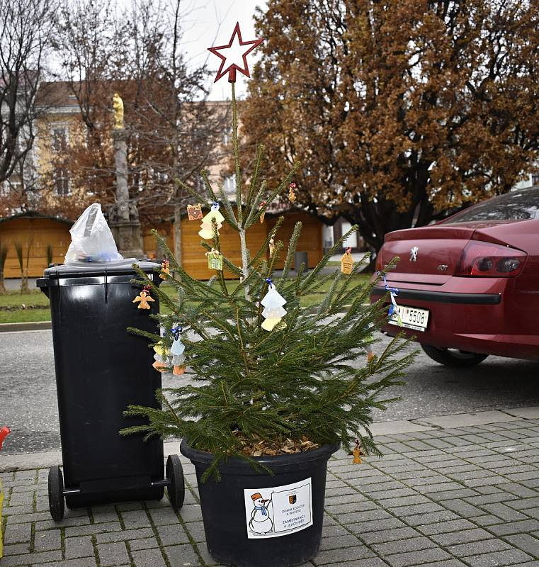 Centrální prostějovské náměstí se halí do vánočního hávu. Ozdobený už je vánoční strom a desítky malých smrčků. 26.11. 2020