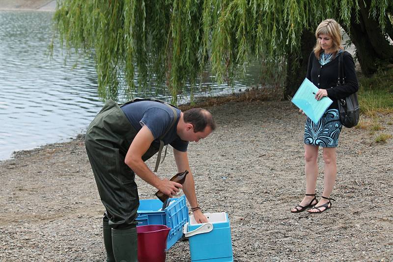 Hygienici měřili kvalitu vodu na plumlovské přehradě v pondělí 29.7. 2019