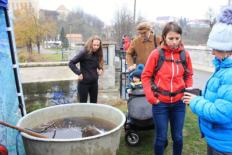 Výlov Podhradského rybníka v Plumlově - 2. listopadu 2019