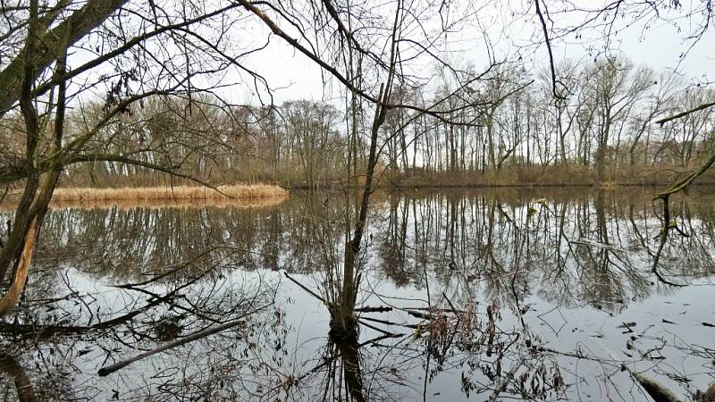Rybníky na Prostějovsku a okolí.